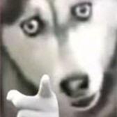看我