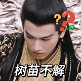 [1632115_树苗不解]