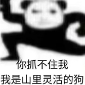 [1632115_灵活的狗]